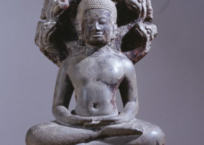 Buddha paré protégé par le naga
