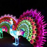 Célébration du nouvel an chinois au Festival des lanternes de Gaillac