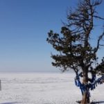Sous l'éternel ciel bleu : du chamanisme sibérien
