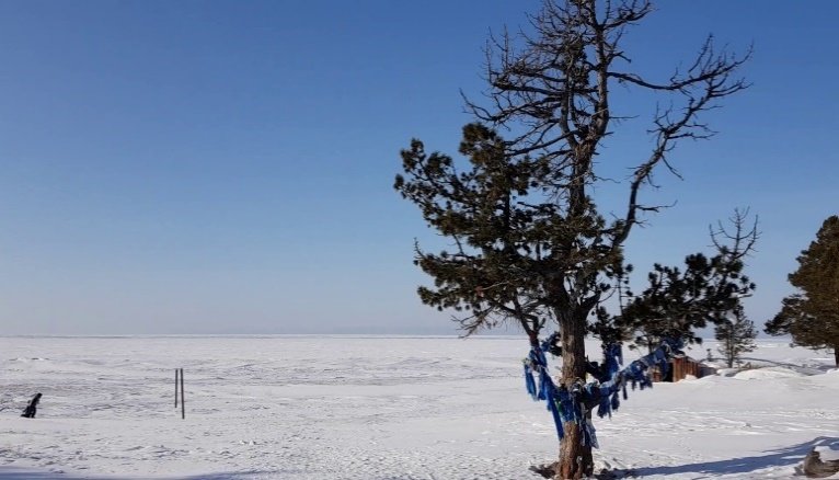 Sous l'éternel ciel bleu : du chamanisme sibérien